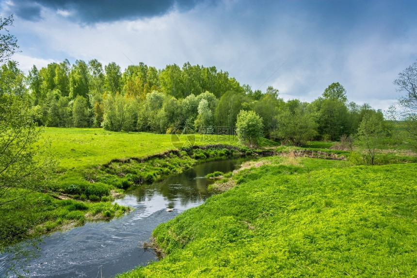 绿色美丽的风景与小河在桑尼春日一种天图片