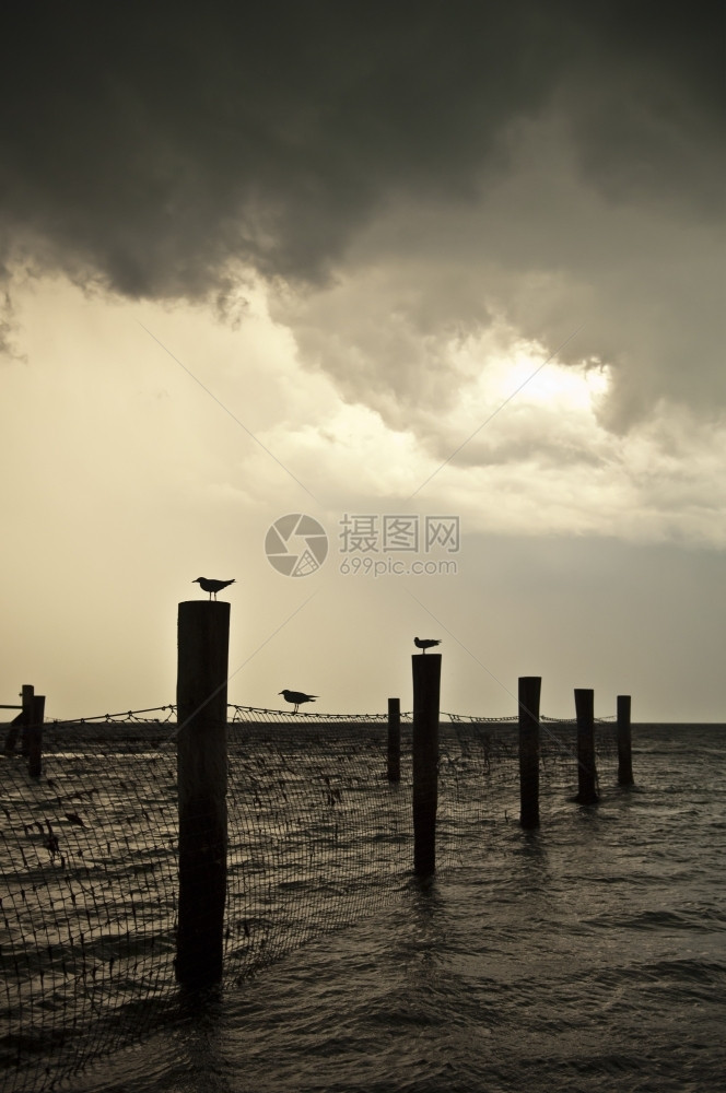 随着暴风雨的逼近太阳月光鸟坐在北极上海洋两方法图片