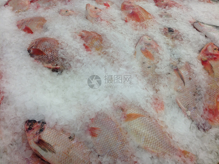 营养生的许多鱼类被冻美味的图片