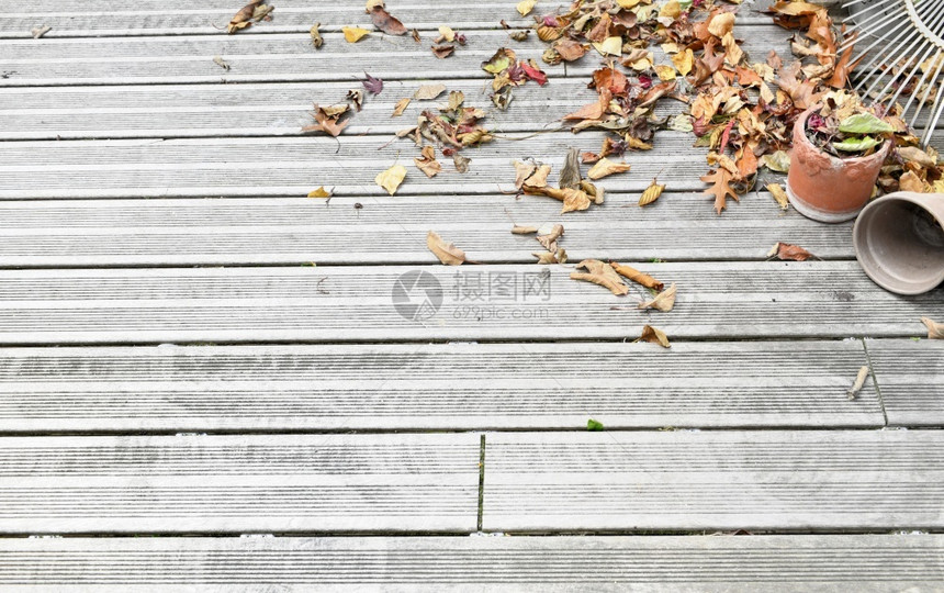 干燥秋天一个木制阳台地板上的干叶落下园艺图片