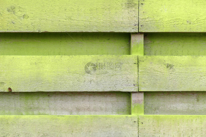 沦荷兰莱默有带藻类的木板和海藻的风景栅栏静脉刷子图片