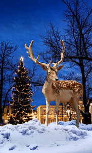 云杉圣诞鹿小城镇Xmas树背景小城镇圣诞鹿背景的喜庆冬天图片