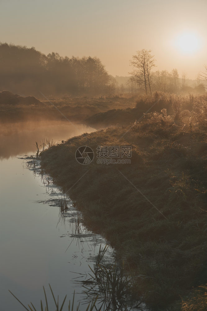 秋天薄雾草太阳在田地上升起池塘清晨被雾淹没图片