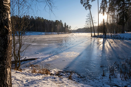 冬天结冰的河流和阳光照耀下的森林图片