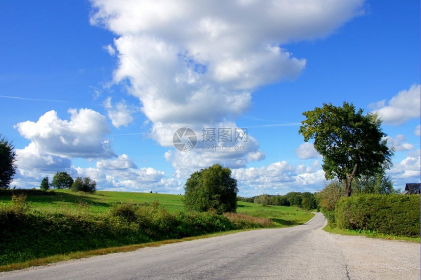 树道路和阴云的天空环绕着风景自然草图片
