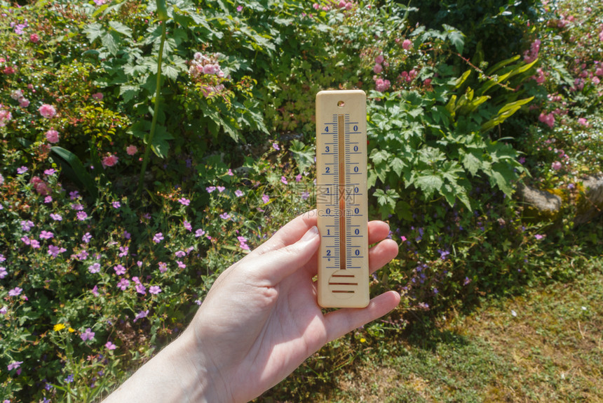 在花园里一个女人手上的温度计暖天气热图片