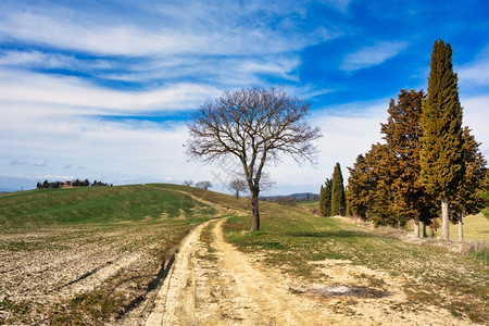 全景草甸意大利托斯卡纳农村地貌放松图片