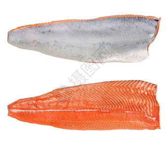 海鲜规模白背景隔离的寿司分鲑鱼白背景新鲜的背景图片