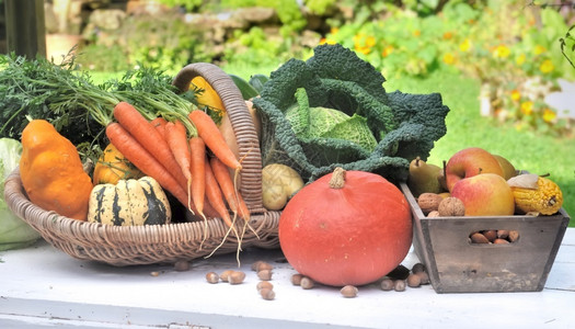 萝卜在桌菜园的篮子中季节蔬菜花园健康图片