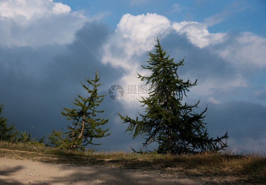 山间的森林和草地的美景图片