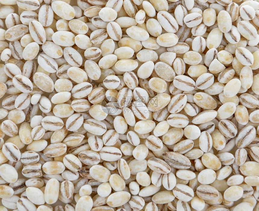大麦谷物背景种子粮食白色的图片