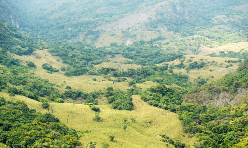 环境ChicoasenDamHillside朦胧的山坡墨西哥树木图片