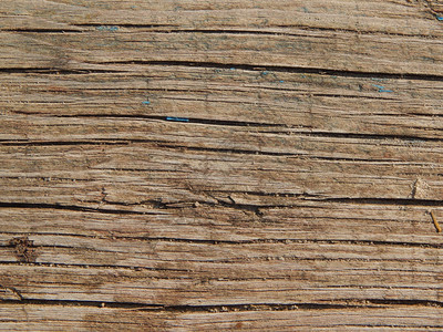 木质材树砍伐日志老的质地图片