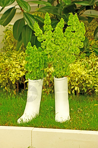 装满植物花园饰品的白橡皮靴满鞋类白色图片