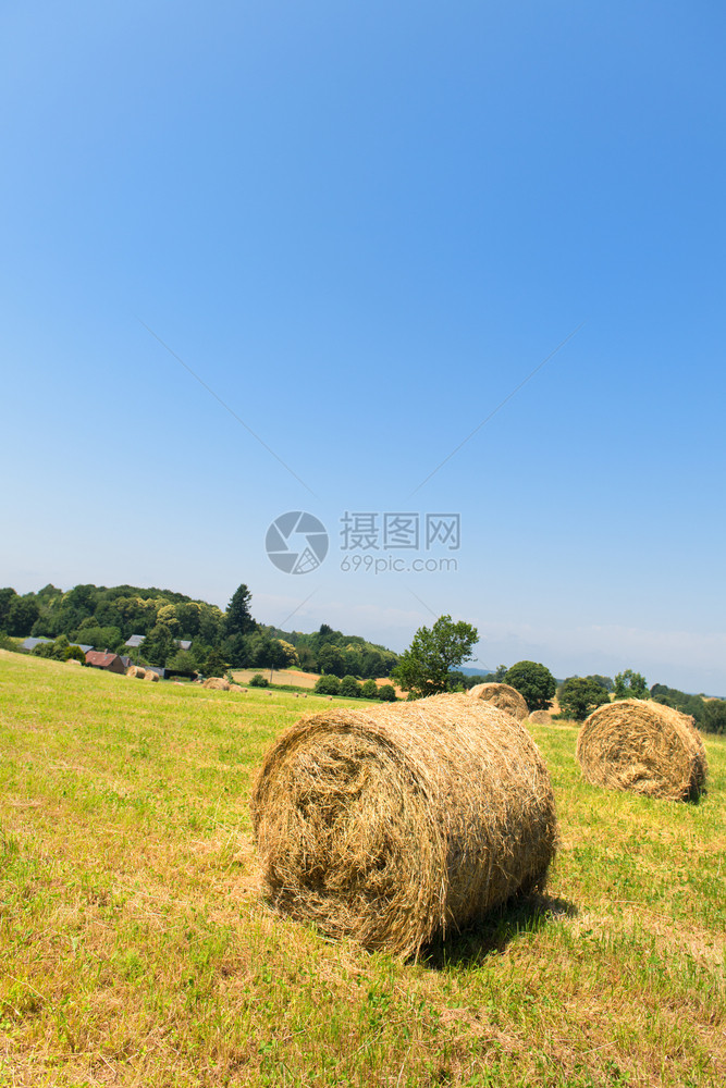 夏天农业地貌的圆环干草篮形的食物图片