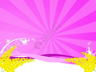 女士妇配额日的Mimosa花朵插图含羞草礼物设计图片