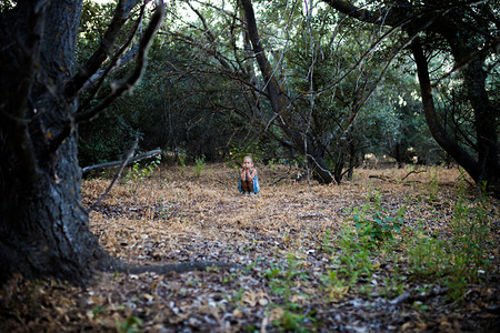 寂寞悲伤的小女孩沉浸在森林感觉的概念中树天孤独图片