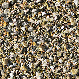 质地卵石013岩块活图片