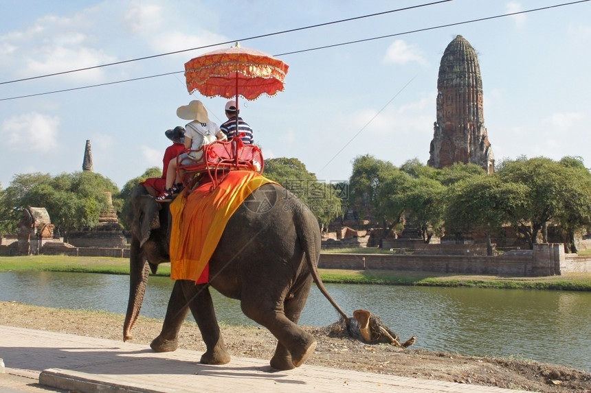 大象乘旅游者泰国阿尤塔亚洲东南人们景点图片