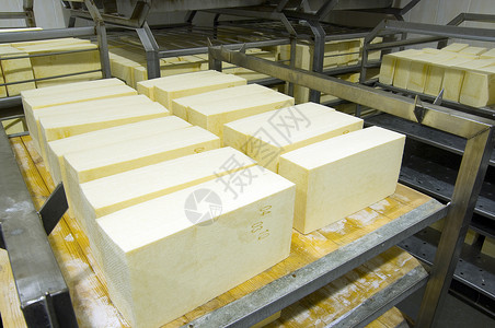 贮存可口硬干酪的工业生产奶酪非常美味健康的产品a食品黄色的图片