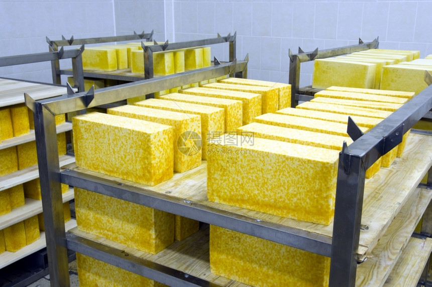 仓库硬干酪的工业生产奶酪非常美味健康的产品a食品工业的凉爽图片