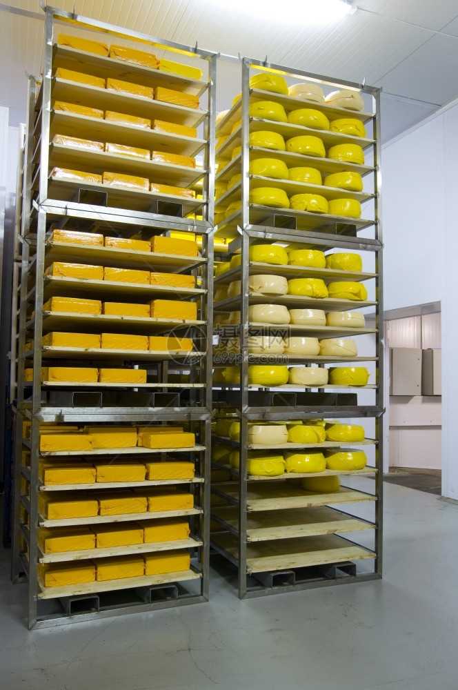 硬干酪的工业生产奶酪非常美味健康的产品a食品凉爽的工厂技术图片