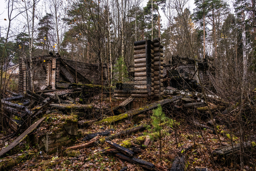 在阴云的一天秋湿润的森林中半燃烧毁坏了木制建筑破危险的一种图片