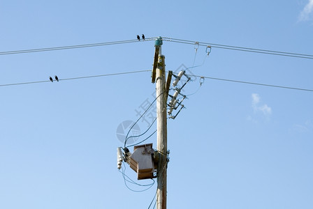导体天空坐着在电线上的鸟儿图片