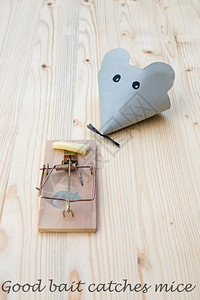 制作鼠标用纸张和捕装置制成的老木上加奶酪抓住起司图片