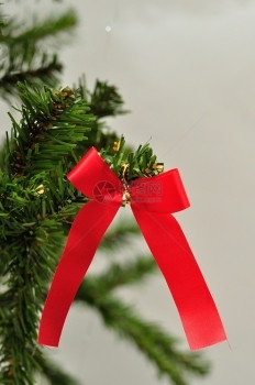 圣诞树枝上红色蝴蝶结装饰图片