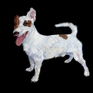 Jackrussell宠物黑色的动JackRussell狗黑色数字绘画背景