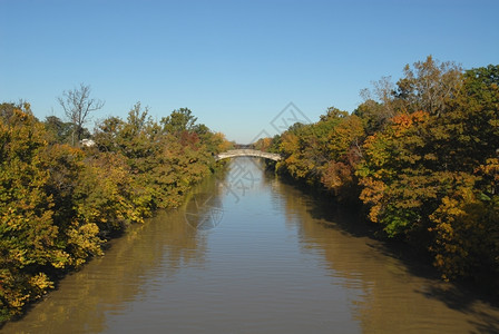 运输纽约罗切斯特州吉尼河的秋色颜树叶图片