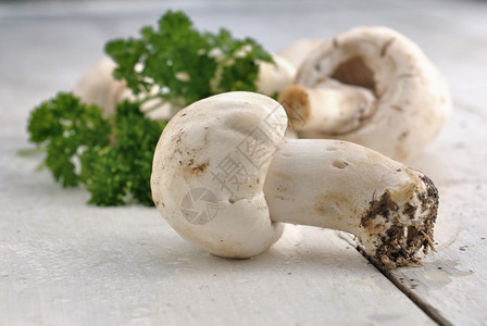营养巴黎新鲜的蘑菇在桌边上与面食草叶弄脏了自然背景图片