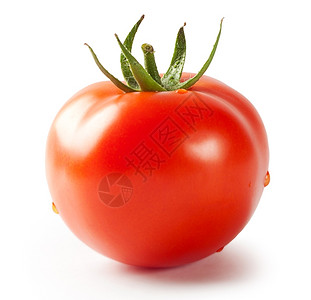 白色背景上孤立的绿控点番茄成熟吃图片