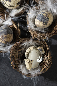 假期棕色的春天巢中鸡蛋和白羽毛中的鸡蛋复活节概念暗底有小鸡蛋图片