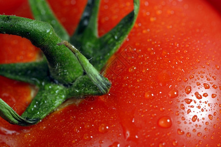 水滴在番茄上的颗粒图片