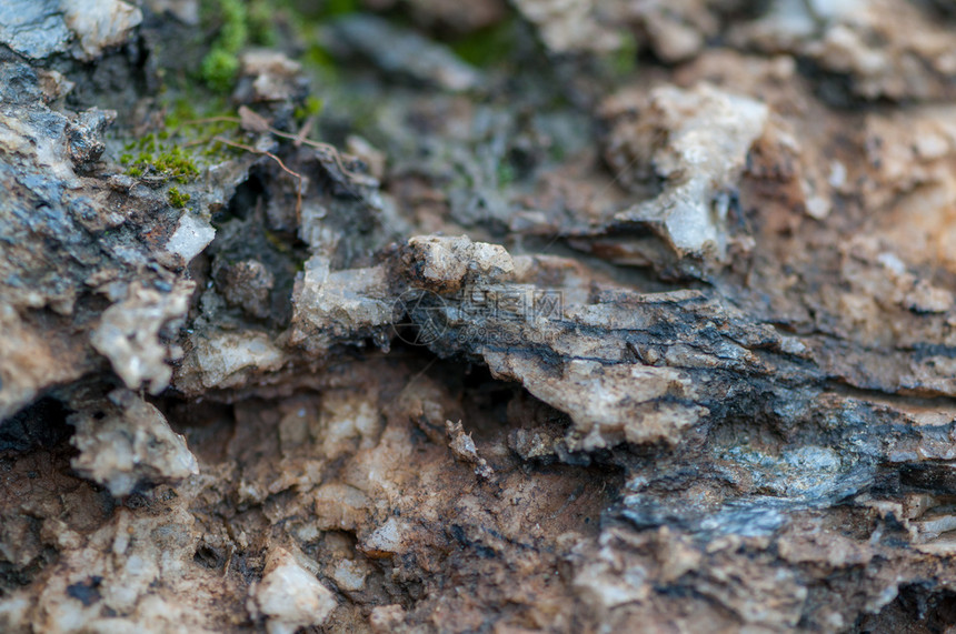波亚纳水晶封闭岩石盐和矿物浅地深质图片