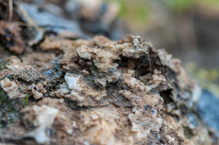 罗马尼亚封闭岩石盐和矿物浅地深结石自然图片