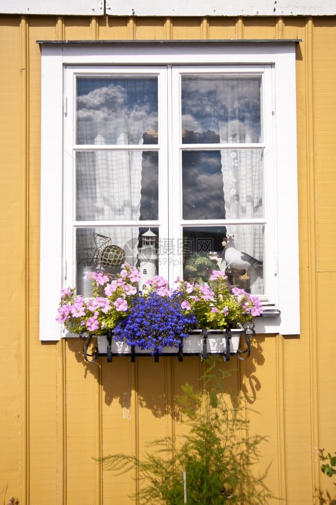 如画豆芽瑞典语房屋白色的图片