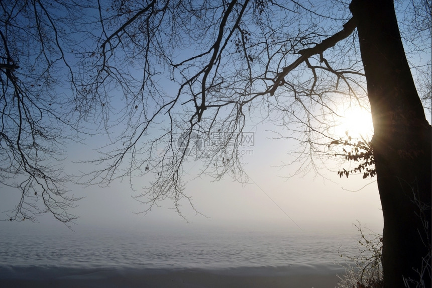 天空在荷兰瓦塞纳尔DeHorsten庄园的浓雾冬季风景中的树上雪冬天图片