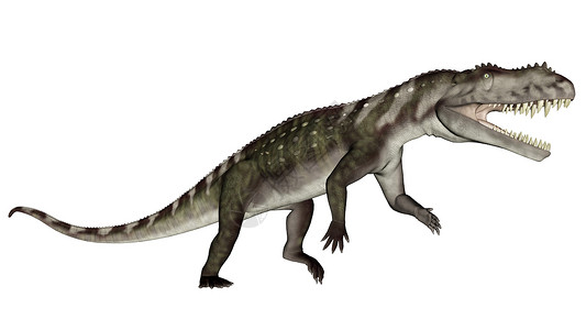 鳄鱼科绿色背景前鳄恐龙在白色背景下咆哮三维化身设计图片