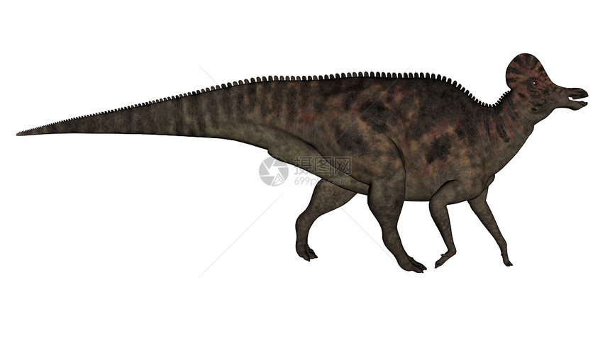 时代在白色背景中与世隔绝的恐龙3D使变成3DD史前古生物学图片