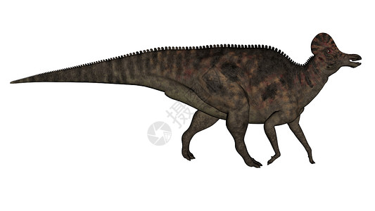 鸭嘴龙时代在白色背景中与世隔绝的恐龙3D使变成3DD史前古生物学设计图片