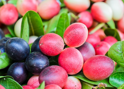 新鲜的泰国市场上的Carissacarandas水果有机的背景图片