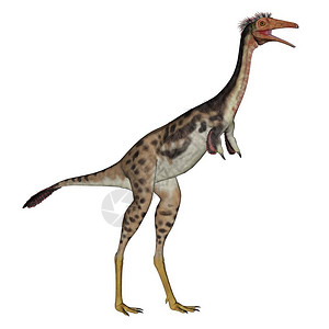 时代史前常设Monononykus恐龙站在白色背景的3D转化图片