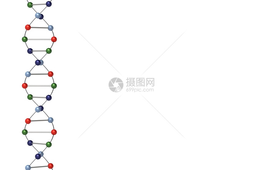 插图人类白色背景上的脱氧核糖酸结构体图片