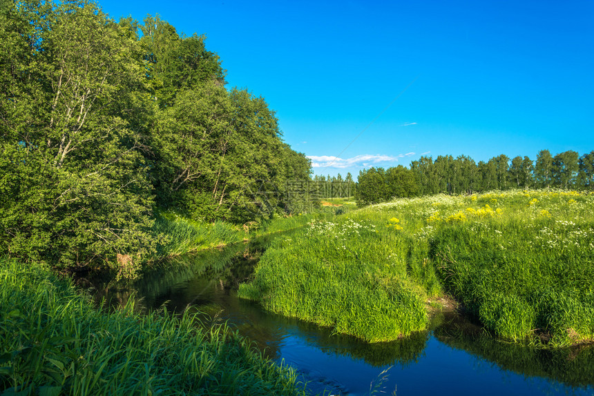 俄罗斯中部有一条小河的夏季风景位于俄罗斯中部蓝色的绿景观图片