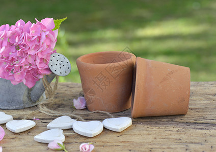 木制的浪漫夏天粉红色花朵用木制白色心的花桌上电灯水罐和terracotta花盆背景图片