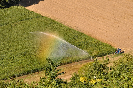 景观灌溉玉米地里的洒水装置鸟瞰图田地里的洒水装置夏天图片