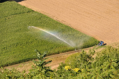季节欧洲玉米地里的洒水装置鸟瞰图田地里的洒水装置灌溉图片